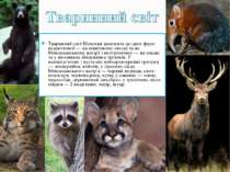 Тваринний світ Мексики належить до двох фаун: неарктичної — на північному зах...