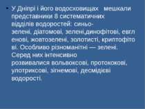 У Дніпрі і його водосховищах   мешкали представники 8 систематичних відділів ...