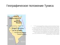 Географическое положение Туниса Рельеф страны преимущественно равнинно-холмис...