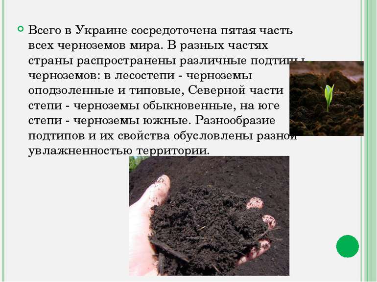 Всего в Украине сосредоточена пятая часть всех черноземов мира. В разных част...