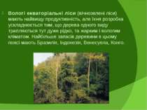 Вологі екваторіальні ліси (вічнозелені ліси) мають найвищу продуктивність, ал...