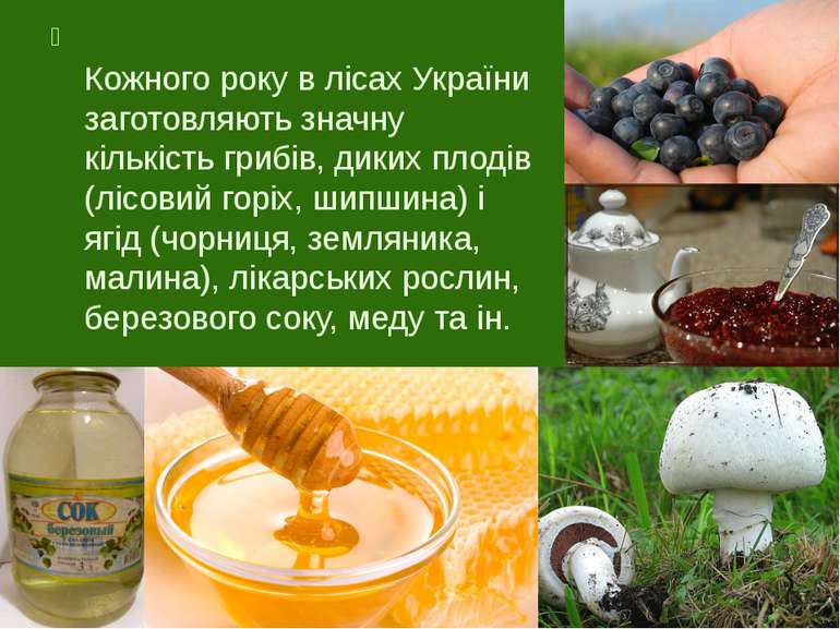 Кожного року в лісах України заготовляють значну кількість грибів, диких плод...