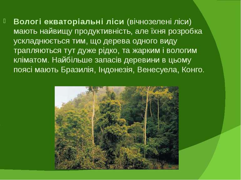 Вологі екваторіальні ліси (вічнозелені ліси) мають найвищу продуктивність, ал...
