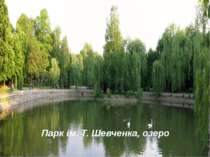 Парк ім. Т. Шевченка, озеро