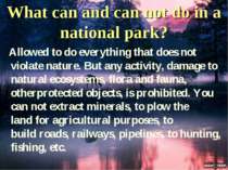 What can and can not do in a national park?  Allowed to do everything that do...