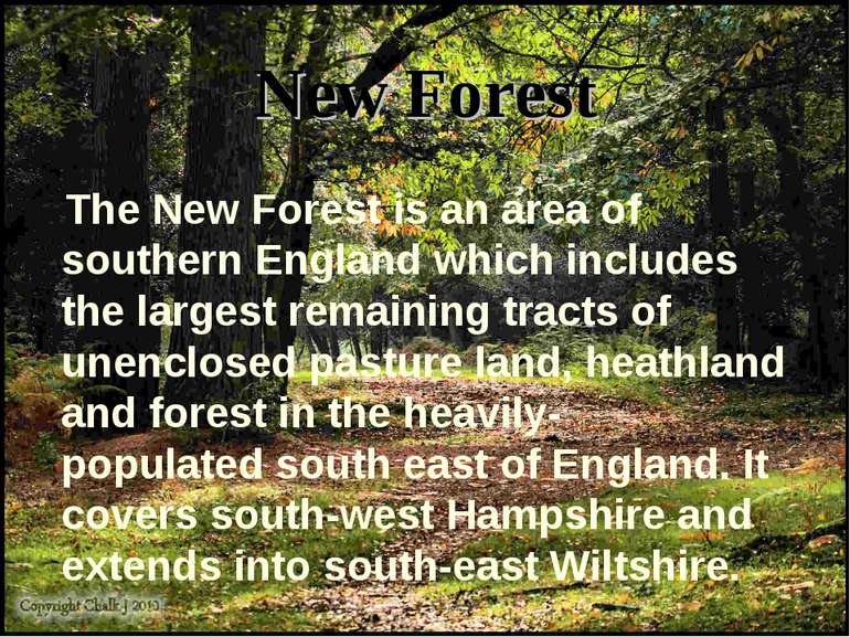 New Forest The New Forest is an area of southern England which includes the l...