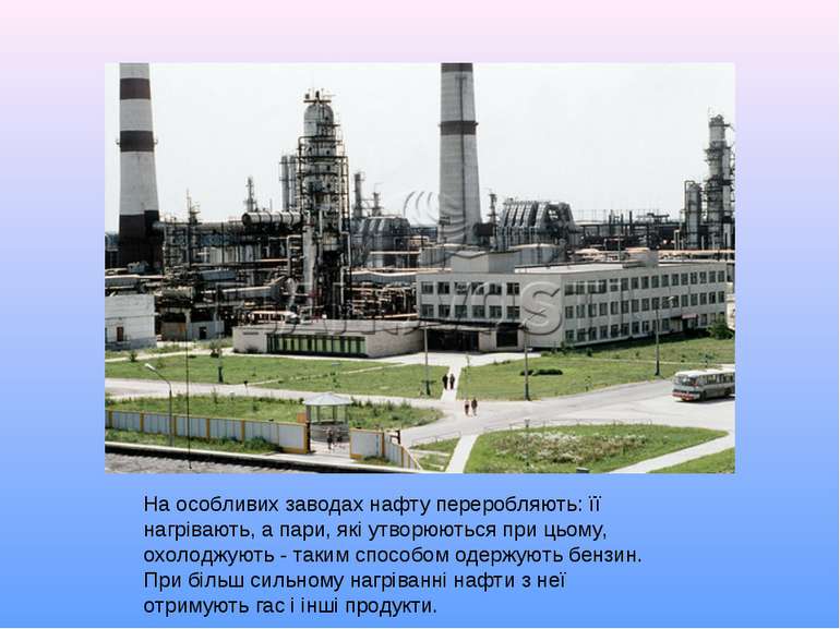 На особливих заводах нафту переробляють: її нагрівають, а пари, які утворюють...
