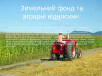 У розвинутих країнах значна частина земельного фонду є власністю компаній і ф...