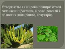 Утворюються і широко поширюються голонасінні рослини, а деякі дожили і до наш...
