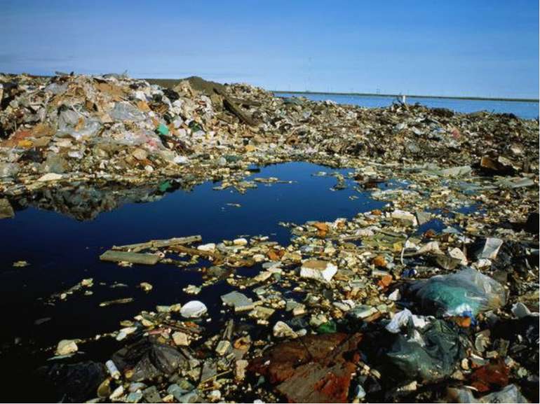 Последствия загрязнения океана В результате загрязнения Мирового океана приво...