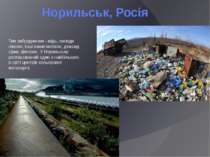 Норильськ, Росія Тип забруднення - мідь, оксиди нікелю, інші важкі метали, ді...