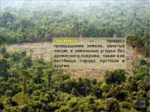 Обезлесение — процесс превращения земель, занятых лесом, в земельные угодья б...