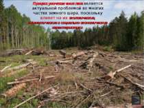 Процесс уничтожения леса является актуальной проблемой во многих частях земно...