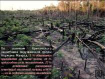 По оценкам британского защитника окружающей среды Нормана Маерса, 5 % обезлес...