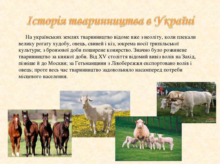 На українських землях тваринництво відоме вже з неоліту, коли плекали велику ...