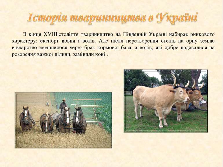 З кінця XVIII століття тваринництво на Південній Україні набирає ринкового ха...