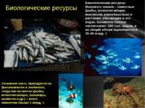 Биологические ресурсы Мирового океана – животные (рыбы, млекопитающие, моллюс...