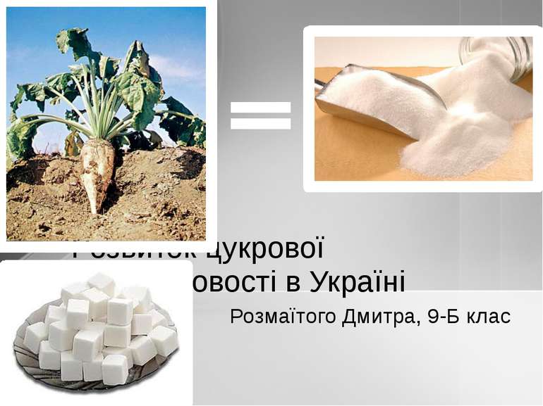 Розмаїтого Дмитра, 9-Б клас Розвиток цукрової промисловості в Україні