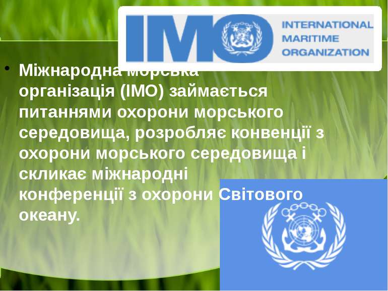 Міжнародна морська організація (ІМО) займається питаннями охорони морського с...
