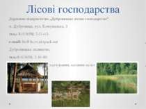 Лісові господарства Державне підприємство „Дубровицьке лісове господарство” м...