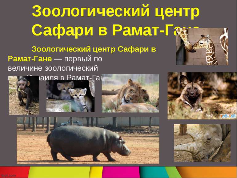 Зоологический центр Сафари в Рамат-Гане Зоологический центр Сафари в Рамат-Га...