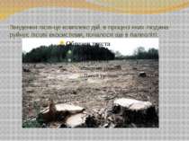 Зведення лісів-це комплекс дій, в процесі яких людина руйнує лісові екосистем...