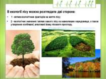 2 - екологічне значення і вплив самого лісу на навколишнє середовище, а також...