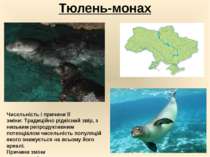 Тюлень-монах Чисельність і причини її зміни: Традиційно рідкісний звір, з низ...