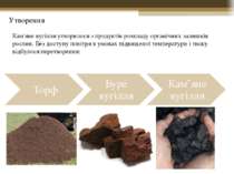 Кам'яне вугілля утворилося з продуктів розкладу органічних залишків рослин. Б...