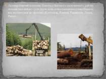 Лісовиробничий комплекс Північно-Західного економічного району складається ма...