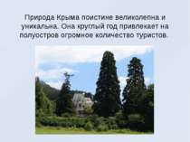 Природа Крыма поистине великолепна и уникальна. Она круглый год привлекает на...