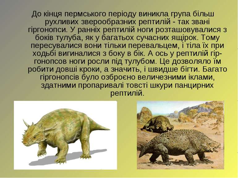 До кінця пермського періоду виникла група більш рухливих зверообразних рептил...