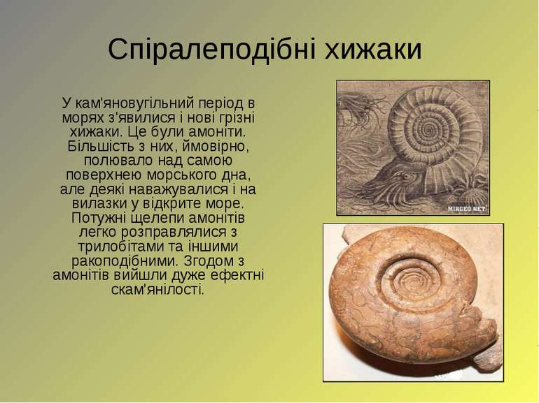 Спіралеподібні хижаки У кам'яновугільний період в морях з'явилися і нові гріз...