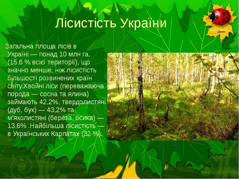Лісистість України Загальна площа лісів в Україні — понад 10 млн га, (15,6 % ...