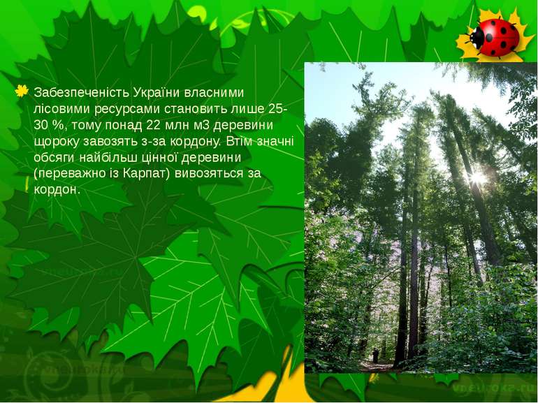 Реферат: Становище лісів України Вплив людини на ліси 2