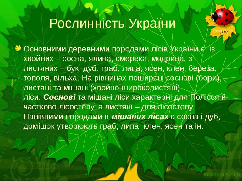 Рослинність України Основними деревними породами лісів України є: із хвойних ...