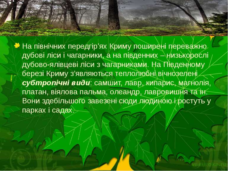 На північних передгір’ях Криму поширені переважно дубові ліси і чагарники, а ...