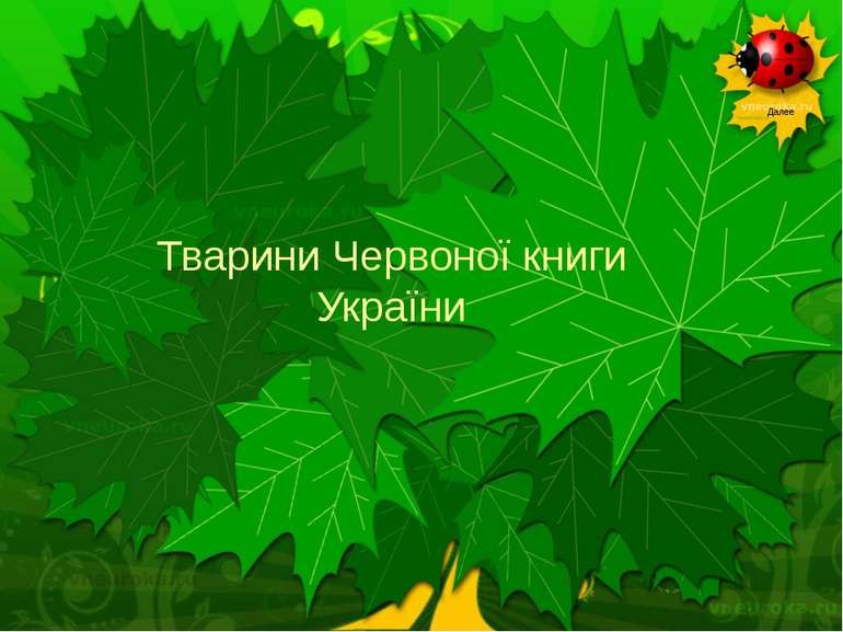 Тварини Червоної книги України