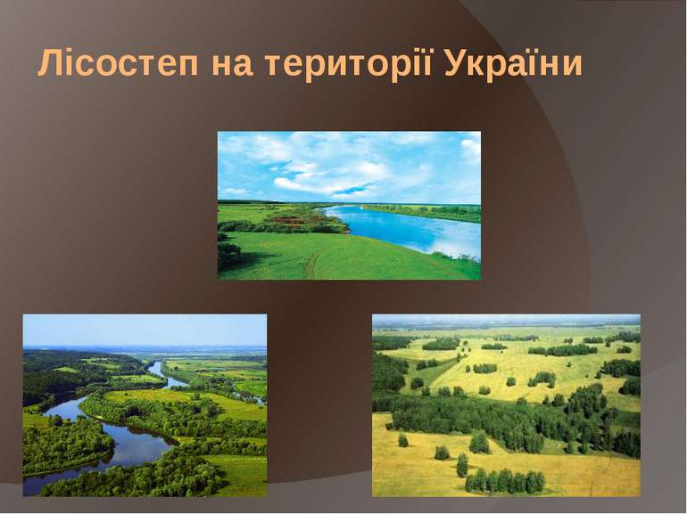 Лісостеп на території України