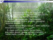 Рослинний світ. Ліси значною мірою були вирубані в процесі розширення в другі...