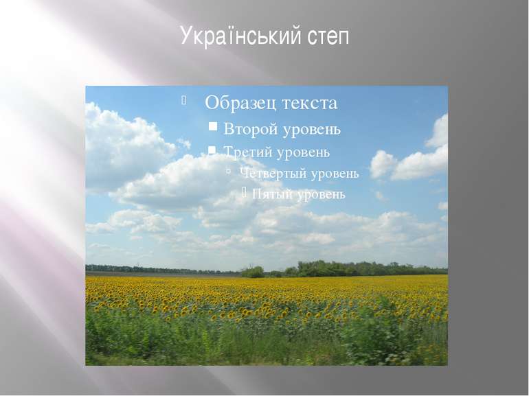 Український степ
