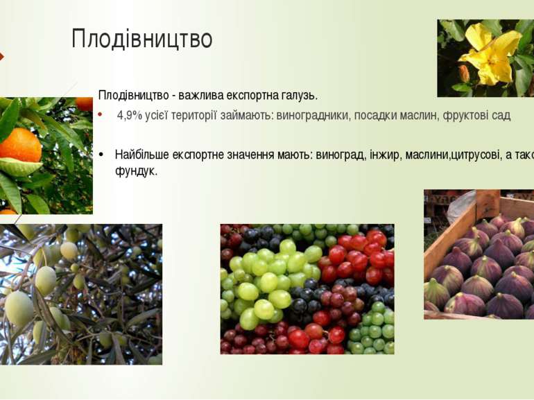 Плодівництво 4,9% усієї території займають: виноградники, посадки маслин, фру...
