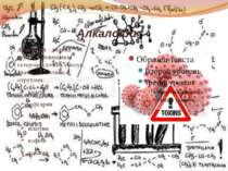 Алкалоїди Алкалоїди – велика група азотовмісних гетероциклічних сполук, значн...