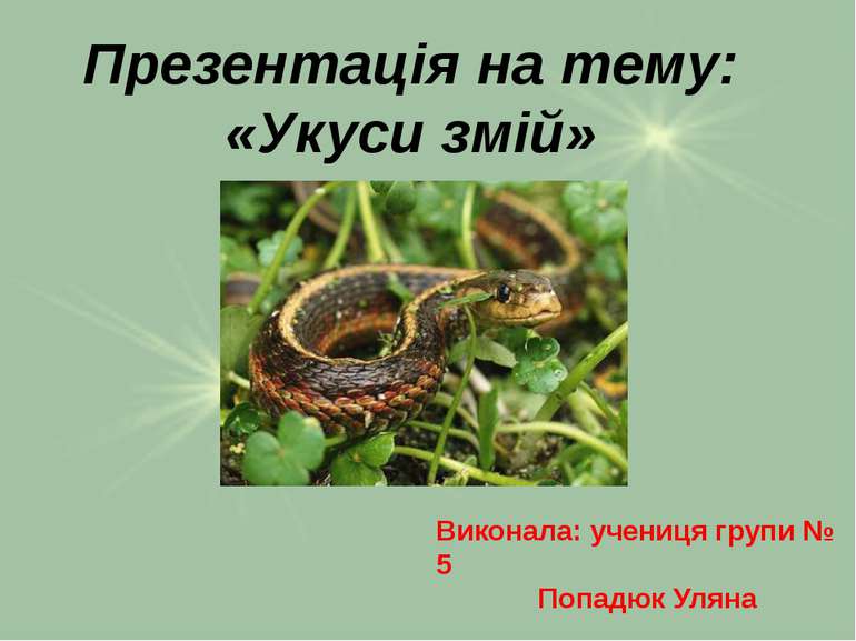 Презентація на тему: «Укуси змій» Виконала: учениця групи № 5 Попадюк Уляна
