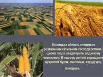 Вінницька область славиться розвиненим сільським господарством, і цьому люди ...