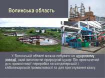 Волинська область У Волинській області можна побувати на цукровому заводі, як...