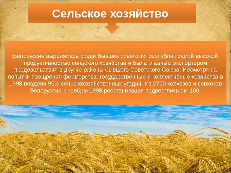 Белоруссия выделялась среди бывших советских республик самой высокой продукти...