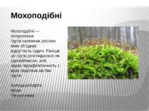 Мохоподібні Мохоподібні — гетерогенна група наземних рослин, яких об'єднує ві...