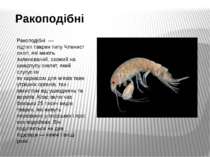 Ракоподібні Ракоподібні  — підтип тварин типу Членистоногі, які мають зчленов...
