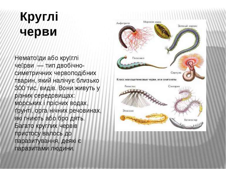 Круглі черви Немато ди або кру глі че рви  — тип двобічно-симетричних червопо...